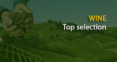 Top 100 Italian Wine Ambassador